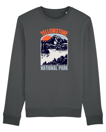 Yellowstone National Park Anthracite