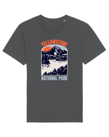 Yellowstone National Park Anthracite