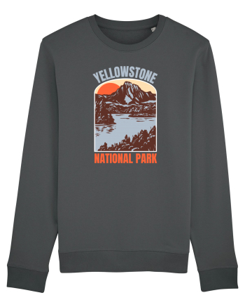 Yellowstone National Park Anthracite