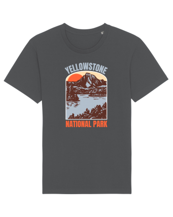 Yellowstone National Park Anthracite