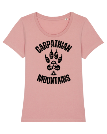 Carpathian Mountains.Muntii Carpati Canyon Pink