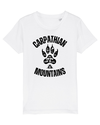 Carpathian Mountains.Muntii Carpati White