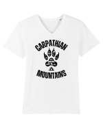 Carpathian Mountains.Muntii Carpati Tricou mânecă scurtă guler V Bărbat Presenter