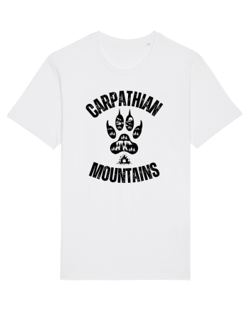 Carpathian Mountains.Muntii Carpati White
