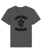 Carpathian Mountains.Muntii Carpati Tricou mânecă scurtă Unisex Rocker