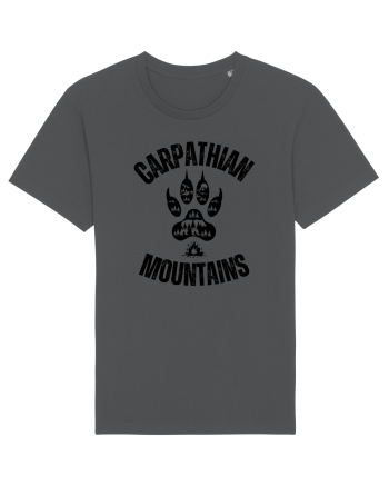 Carpathian Mountains.Muntii Carpati Anthracite