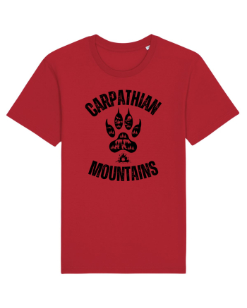 Carpathian Mountains.Muntii Carpati Red