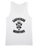 Carpathian Mountains.Muntii Carpati Maiou Bărbat Runs