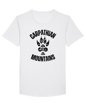 Carpathian Mountains.Muntii Carpati White
