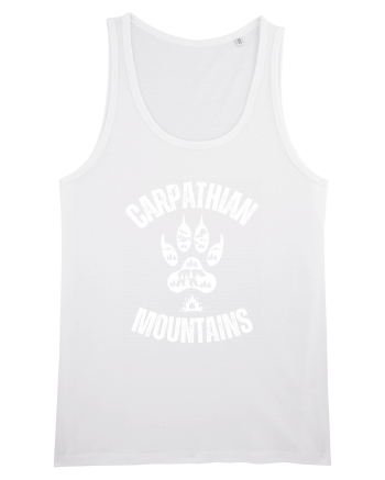 Carpathian Mountains.Muntii Carpati White