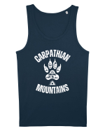 Carpathian Mountains.Muntii Carpati Maiou Bărbat Runs