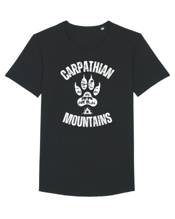 Carpathian Mountains.Muntii Carpati Black