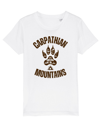Carpathian Mountains.Muntii Carpati White