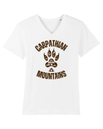 Carpathian Mountains.Muntii Carpati Tricou mânecă scurtă guler V Bărbat Presenter