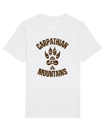 Carpathian Mountains.Muntii Carpati White