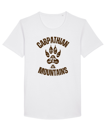 Carpathian Mountains.Muntii Carpati White
