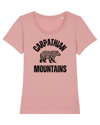 Carpathian Mountains.Muntii Carpati Canyon Pink