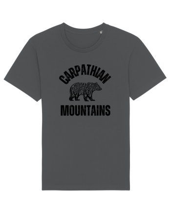 Carpathian Mountains.Muntii Carpati Anthracite