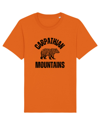 Carpathian Mountains.Muntii Carpati Bright Orange