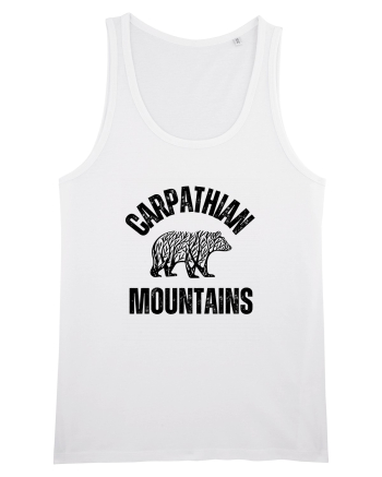 Carpathian Mountains.Muntii Carpati White