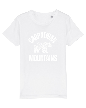 Carpathian Mountains.Muntii Carpati White