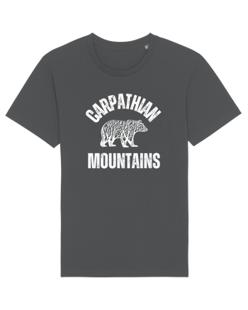 Carpathian Mountains.Muntii Carpati Anthracite