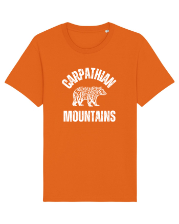 Carpathian Mountains.Muntii Carpati Bright Orange