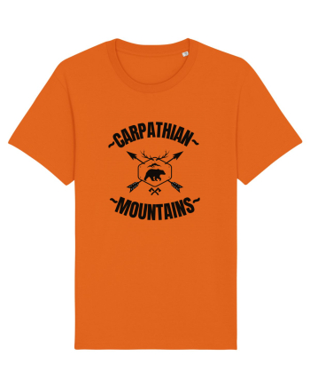 Carpathian Mountains.Muntii Carpati Bright Orange