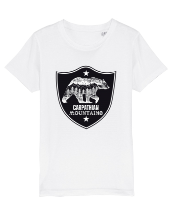 Carpathian Mountains.Muntii Carpati White
