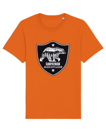 Carpathian Mountains.Muntii Carpati Bright Orange