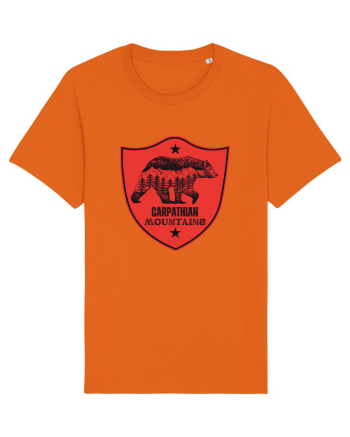 Carpathian Mountains.Muntii Carpati Bright Orange