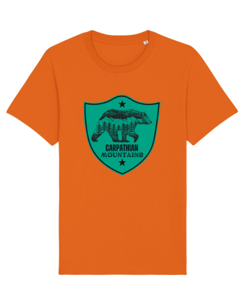 Carpathian Mountains.Muntii Carpati Bright Orange