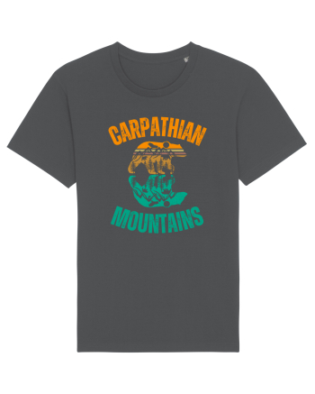 Carpathian Mountains.Muntii Carpati Anthracite