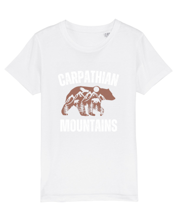 Carpathian Mountains.Muntii Carpati White
