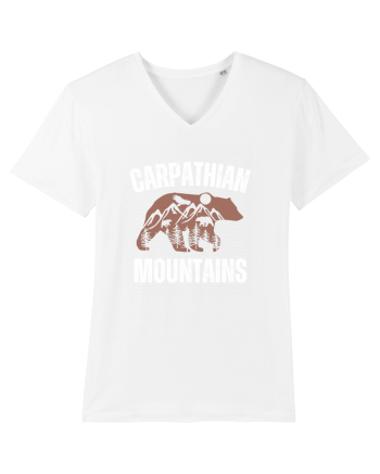 Carpathian Mountains.Muntii Carpati White