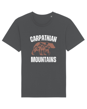 Carpathian Mountains.Muntii Carpati Anthracite