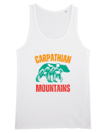 Carpathian Mountains.Muntii Carpati Maiou Bărbat Runs