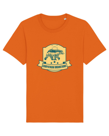 Carpathian Mountains.Muntii Carpati Bright Orange