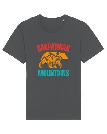 Carpathian Mountains.Muntii Carpati Anthracite