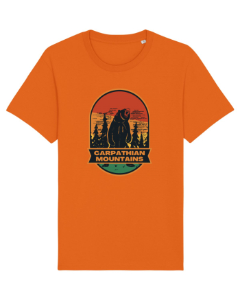 Carpathian Mountains.Muntii Carpati Bright Orange