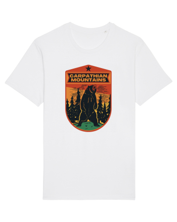 Carpathian Mountains.Muntii Carpati White