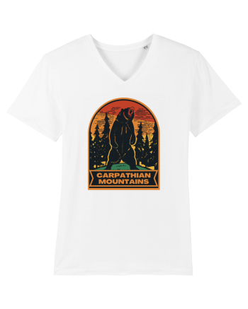 Carpathian Mountains.Muntii Carpati White
