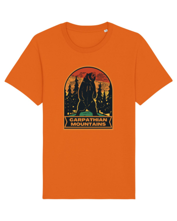Carpathian Mountains.Muntii Carpati Bright Orange