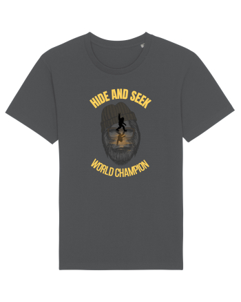 Bigfoot Hide And Seek World Champion Anthracite