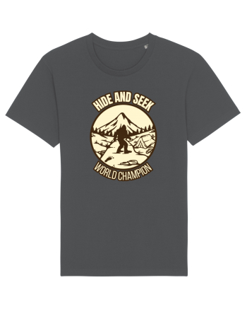Bigfoot Hide And Seek World Champion Anthracite