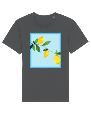 Lemon view Anthracite