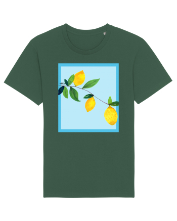 Lemon view Bottle Green
