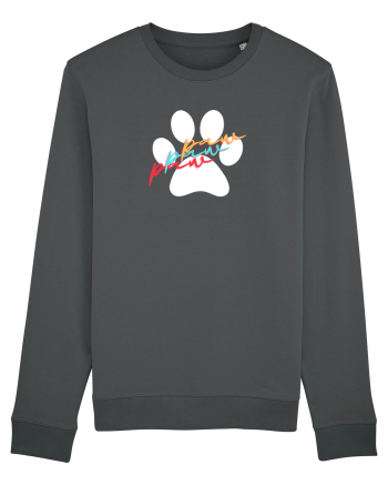 Paw Anthracite