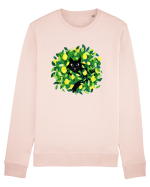 Capri cat Bluză mânecă lungă Unisex Rise