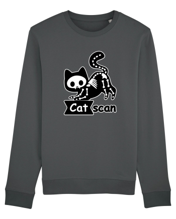 Cat Scan  Anthracite